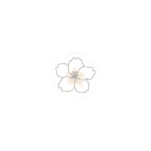 Sakura Store